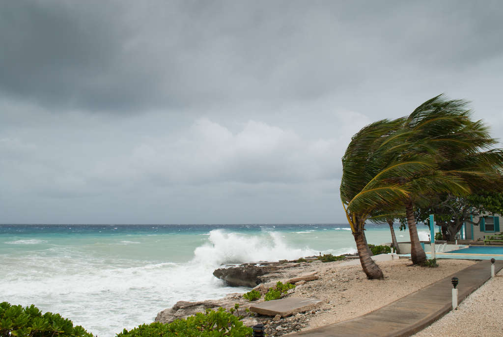 Hurricane Blowing on the Beach